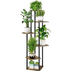 6-Tier Metal Plant Stand - Wnkrs Plants Corner, Tiered Plant Stand Indoor, Flower Holders, Tattoo Plant, Corner Plant, Tall Plant Stands, Support Pour Plante, Wooden Plant Stands, Support Plante