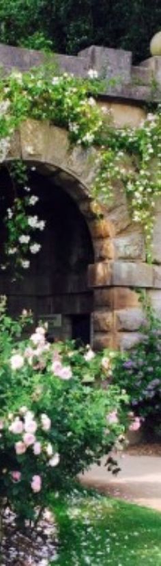 a stone tunnel with flowers growing out of it