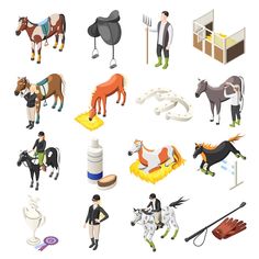 horse and rider icons set - animals characters