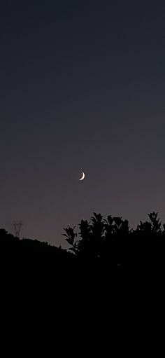 the moon is seen in the sky above some trees and bushes at night with no one on it