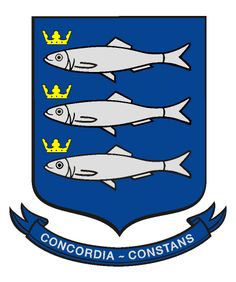 the coat of arms of concoria - constants is shown in blue and white