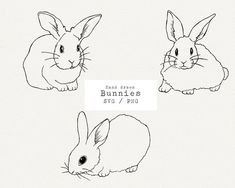 three bunnies are shown in black and white with the words bunny's on them