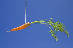 a carrot is being pulled by a string through the air on a clear blue day