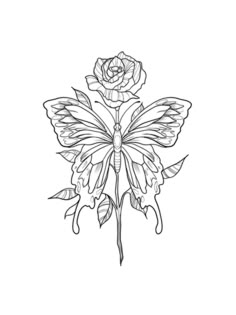 a drawing of a rose with a butterfly on it's wings and leaves around the petals