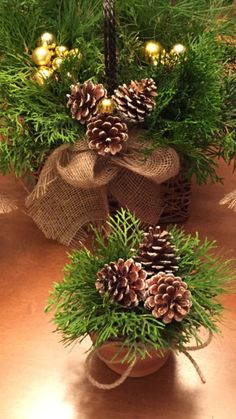 pine cones and burlocks are tied to the top of a potted plant