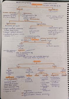 a handwritten diagram on top of a notebook with orange and white writing in it