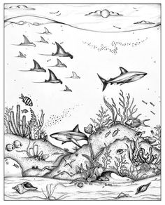 an underwater scene with sharks, corals and other marine creatures in black and white