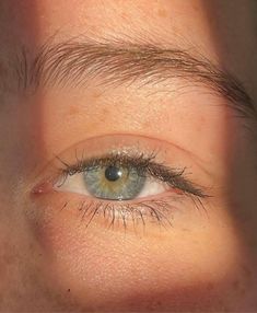 central hetrochromia Blue Central Heterochromia Eyes, Centralized Heterochromia, Green Blue Heterochromia, Blue Heterochromia Eyes, Green Blue Brown Eyes, Heterochromia Eyes Blue And Green, Central Heterochromia Eyes Green Blue, Blue Eyes Heterochromia, Central Heterochromia Eyes