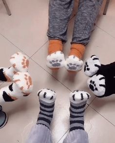 Warm Feet During Winter Material: Cotton Awesome Design Super Cute Very Soft and Comfy to wear Package Includes: 6 pairs x Cute Cat Claw Socks Paws Socks, Super Cute Cats, Fleece Socks, Baby Rosa, Winter Cat, Stylish Socks, Cat Socks, Sock Animals, Fuzzy Socks