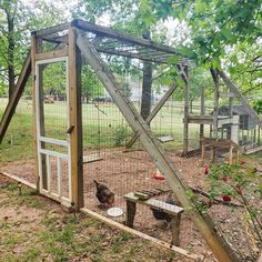 an outdoor chicken coop with chickens in it