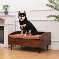 a black and white dog sitting on top of a wooden bench in front of a fireplace