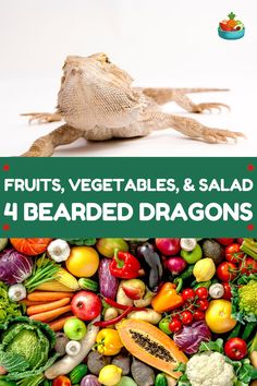 an image of fruits, vegetables and salad with text overlay that reads 4 bearded dragon