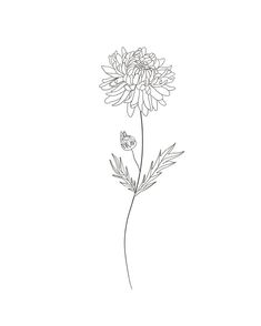 a black and white drawing of a flower