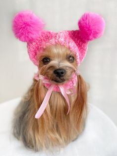 a small dog wearing a pink knitted hat