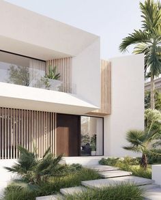 an architectural rendering of a modern house with palm trees in the foreground and stairs leading up to it