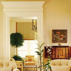 a living room filled with furniture and a potted plant