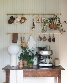 a kitchen counter with pots and pans hanging on the wall next to potted plants