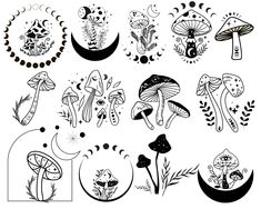 an image of different mushrooms and plants in black and white ink art work on paper