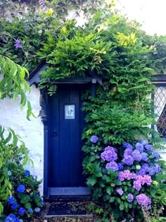 a blue door surrounded by flowers and greenery