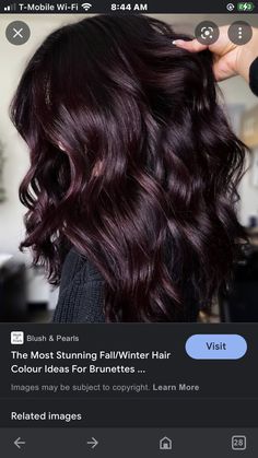 Plum Hair With Dimension, Mulberry Brown Hair, Chocolate Brown Hair With Purple Tint, Mahogany Lowlights Brunettes, Burgundy Hair Ideas For Brunettes, Deep Brown Burgundy Hair Color, Merlot Hair Color Balayage, 2023 Fall Brunette Hair, Chocolate Burgandy Hair