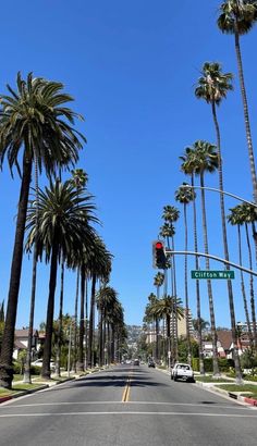 palm trees line the street in front of a stop light