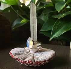 a ring sits on top of a rock next to a potted plant and candle