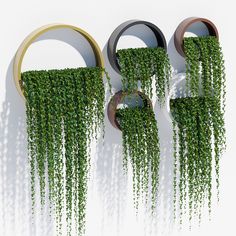 two circular metal sculptures with green plants growing out of them, against a white background