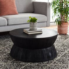 a living room with a couch, coffee table and potted plant on the floor