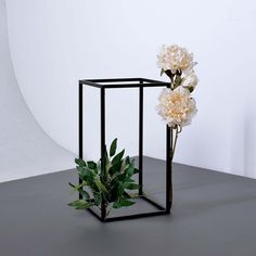 two white flowers in a black vase on a gray surface with a plant behind it