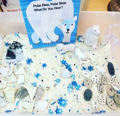 a box filled with lots of rocks and sea shells next to a sign that says polar bear polar bear, what do you hear?