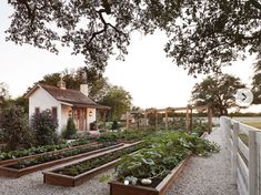 an outdoor vegetable garden with lots of plants and vegetables growing in the raised beds next to it