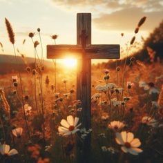 a cross sitting in the middle of a field with daisies and wildflowers