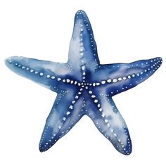 a blue starfish with white dots on it's body and back end, in watercolor