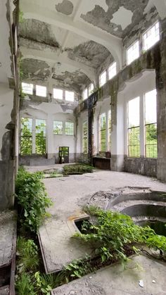 an abandoned building with lots of windows and plants growing in the middle of the room