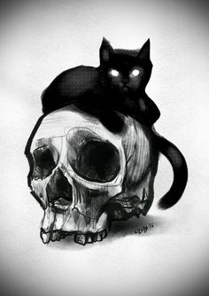 a black cat sitting on top of a skull with its head turned to the side