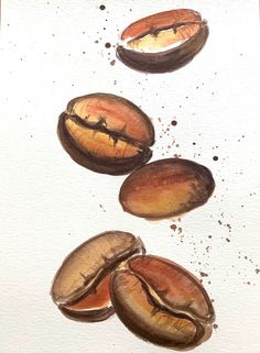 a drawing of coffee beans on a piece of paper