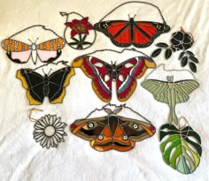 a bunch of different types of butterflies on a white sheet