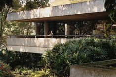 the house is surrounded by greenery and trees, with an elevated walkway leading up to it