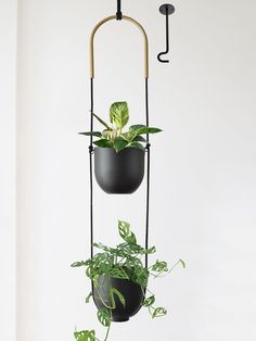 three hanging planters with plants in them