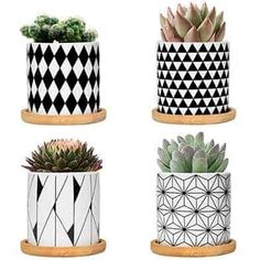 four different types of planters with geometric designs on the sides and one is black and white