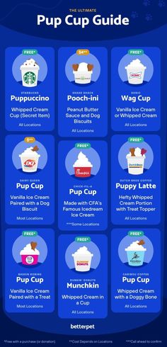 the ultimate cup guide for starbucks