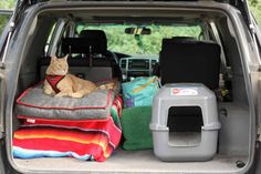 an orange cat sitting in the back of a car with its bed on top of it