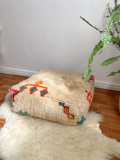 a plant sitting on top of a white rug