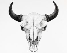 a drawing of a bull's skull with long horns