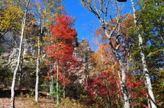 the trees are changing colors in the fall season, and there is no image on this page to describe