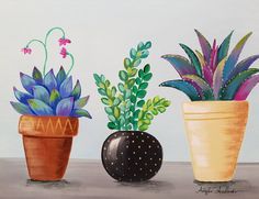 three potted plants sitting on top of a table