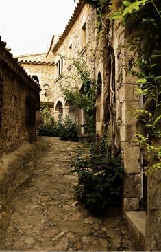 an alley way with stone buildings and plants growing on the side walk, in front of it