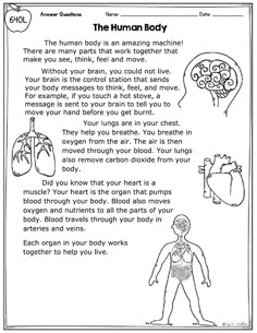 the human body worksheet for kids with pictures and instructions on how to use it