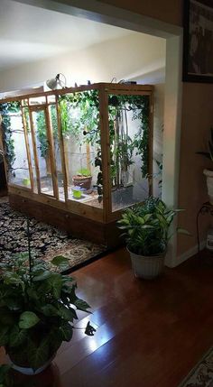 a living room filled with lots of green plants