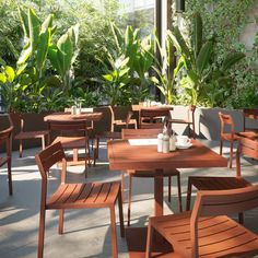 an outdoor dining area with wooden tables and chairs, potted plants on either side